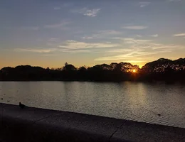 Laguna de las Gaviotas