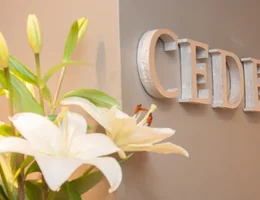 Cedeba | Consultores en Dermatología y Cirugía Estética