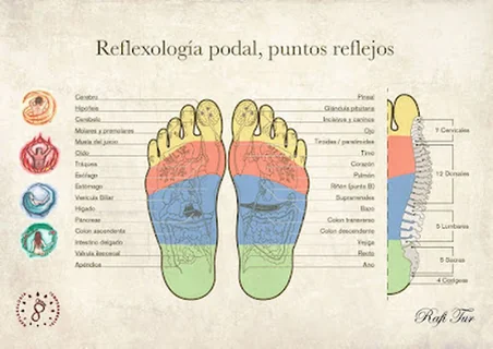 Photo Ananda reflexología