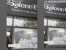 Salonn' e